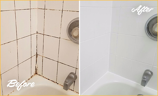 Before and After Picture of a Elk Plain Shower Tile and Grout Cleaned to Eliminate Mold